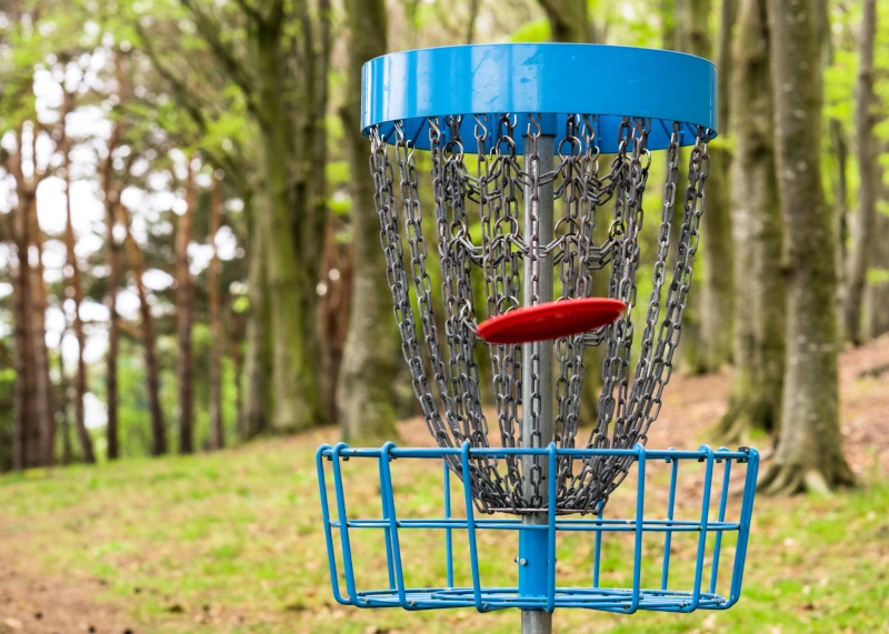 kosz disc golf