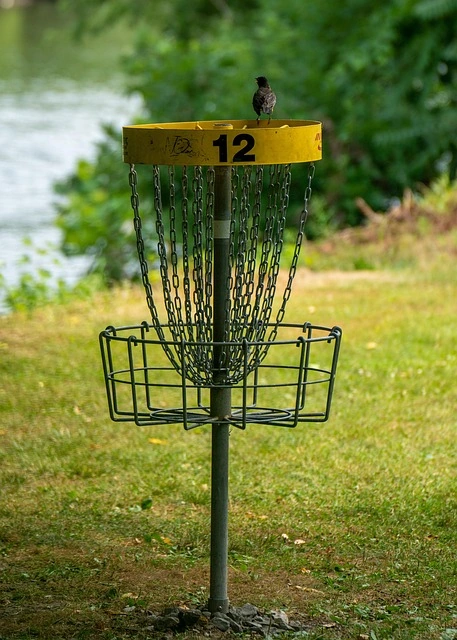 Kosz disc golf